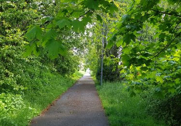 Tocht Stappen Luik - Rocourt - Vottem - Rocourt  - Photo