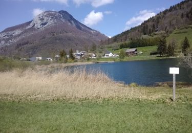 Trail Walking La Thuile - roche de Guet et Roc d Tormery - Photo