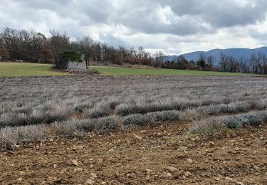 Tour Wandern Castellet-en-Luberon - St Martin de Castillon - Caseneuve - Photo