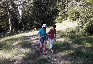 Tocht Stappen Autrans-Méaudre en Vercors - 05 07 19 - Photo