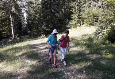 Tour Wandern Autrans-Méaudre en Vercors - 05 07 19 - Photo