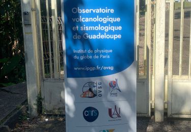 Trail Trail Gourbeyre - Houėlmont observatoire volcanologique  - Photo