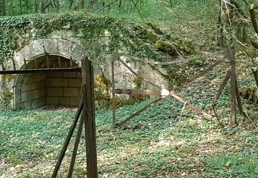 Tocht Stappen Toul - TOUL - LA CROIX D'ARGENT - Photo