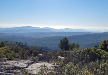 Tocht Stappen Le Castellet - Le Camp  - Photo