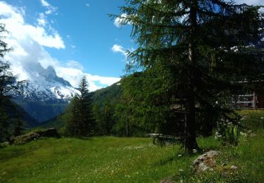 Tocht Stappen Vallorcine - Refuge de Pierre à Berard - Photo
