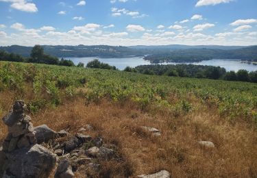 Tour Wandern  - vassiviere  - Photo