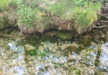 Trail Walking Saint-Zacharie - sources huveaune.pas peuruis. j.f marie - Photo