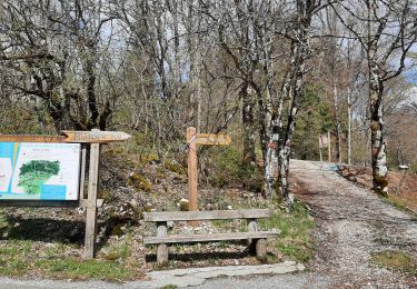 Randonnée Marche Foncine-le-Haut - Le Bayard  - Foncine le Haut  - Photo