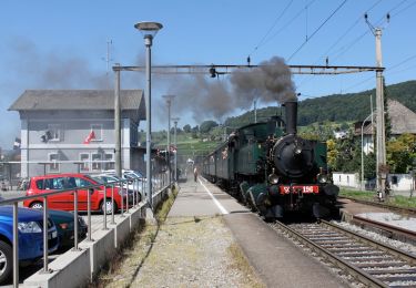 Excursión A pie Döttingen - Döttingen Brücke - Kraftwerk Klingnau - Photo