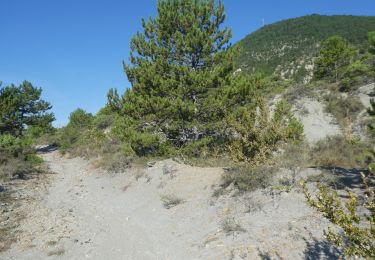 Trail Walking Châteauneuf-de-Bordette - nyons - Photo