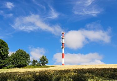 Trail Walking Ciney - Marche ADEPS Haversin - Photo