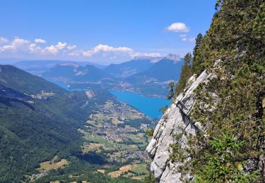 Trail Walking Bellecombe-en-Bauges - BAUGES: TOUR DE LA MONTAGNE DU CHARBON - Photo