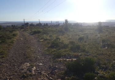 Percorso Trekking con gli asini Port-la-Nouvelle - Cathare 1  port la nouvelle Durban Corbieres - Photo