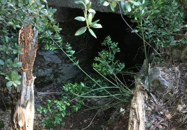 Tocht Stappen La Crau - Grotte col du serre - Photo