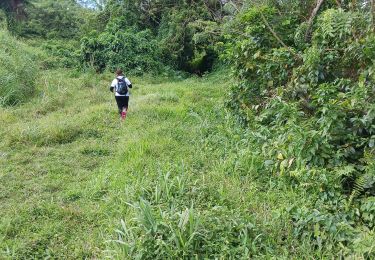 Tour Wandern Le Lorrain - Boucle Stade Lorrain via Bon Repos - Photo