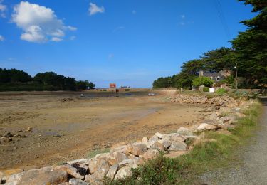 Tour Wandern Penvénan - Buguélès Penvénan - GR34 Raluzet Placen Amic - 11.4km 160m 2h50 - 2023 09 15 - Photo