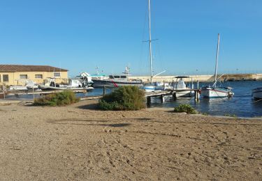 Randonnée Marche Hyères - les salins - Photo