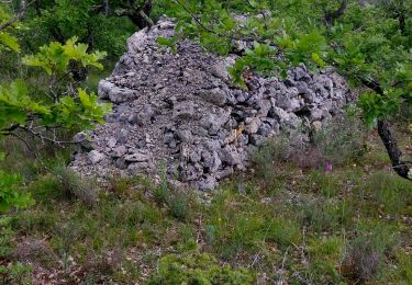 Tour Wandern Pradines - Flottes Le Garric_Compoux de  - Photo