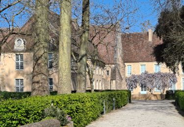 Tocht Stappen Le Mans - Arche de la nature  - Photo