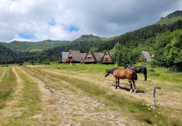 Randonnée Marche Laveissière - Lioran col de Cabre  par téton de Vénus  - Photo