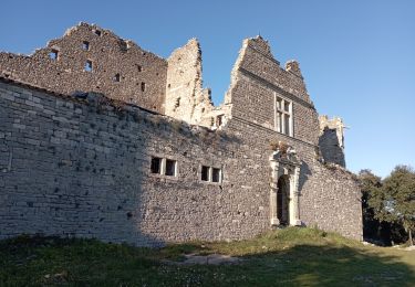 Percorso Marcia Montaud - Montaud château de Montlaur le 31 01 2023 - Photo