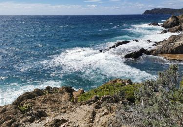 Tour Wandern Hyères - presque ile de gien côté est - Photo