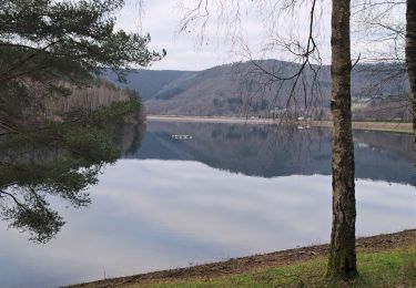 Randonnée Marche Stavelot - Coo - Photo