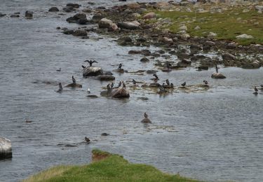 Tour Wandern  - Danemark: Tour de l'Ordrup Naes  - Photo