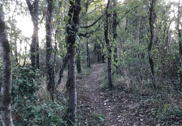 Percorso Marcia Sion-les-Mines - 08.09.2019 - SION LES MINES - Photo