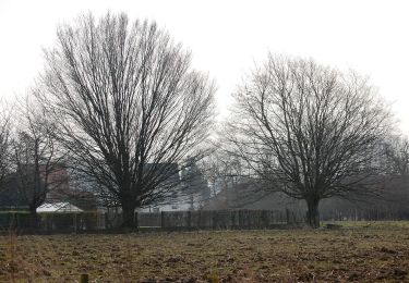 Tour Zu Fuß Lede - Honegem Natte Voetenpad - Photo