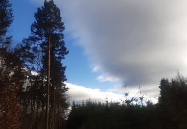 Percorso Marcia Seraing - descente dans le bois de la vecquée - Photo