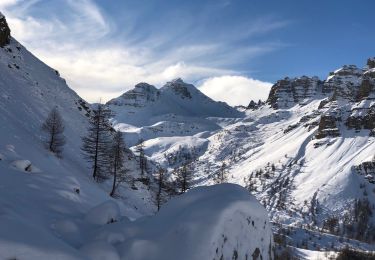 Tocht Sneeuwschoenen Saint-Dalmas-le-Selvage - St Dalmas le Selvage - Photo