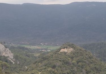 Tocht Stappen Signes - Vallon du Raby  - Photo