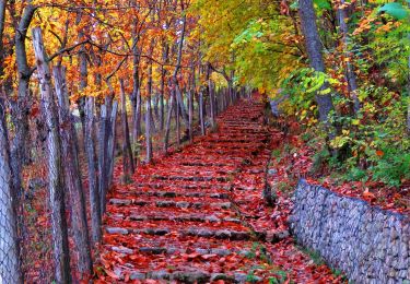 Percorso A piedi Sant'Angelo a Scala - Il sentiero di Fra Diavolo - Photo