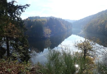 Randonnée A pied La Roche-en-Ardenne - 1. Les Deux Ourthes - Photo