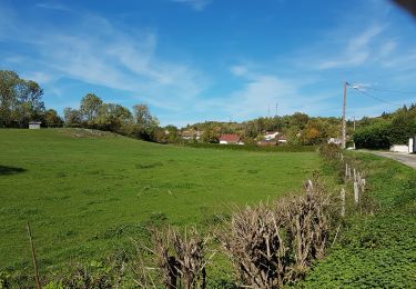 Trail Walking Arbent - Arbent Bois du Roy - Photo