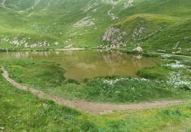 Tour Wandern Le Reposoir - Lac de Peyre - Photo