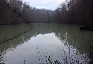 Randonnée A pied Neunkirchen-Seelscheid - Rehwiese Rundweg A3 - Photo