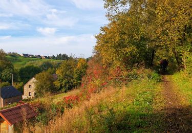 Tour Wandern Mettet - Marche Adeps à Ermeton-sur-Biert - Photo