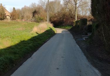 Excursión Senderismo Le Rœulx - Promenade à Mignault  - Photo