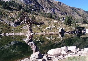 Tocht Stappen Naut Aran - 2022-09-15 - plan de beret , lacs de bacivèr - Photo