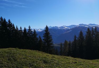 Percorso Camminata nordica Ayent - Anzère et retour  - Photo