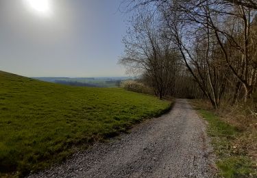 Randonnée Marche Havelange - golf - Photo