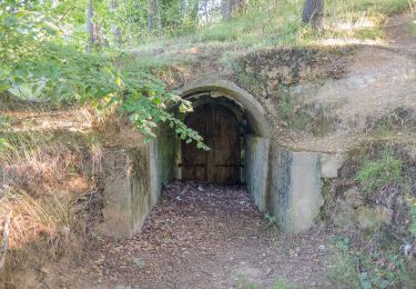 Percorso A piedi Forchheim - Kersbach-Schlaifhausen - Photo