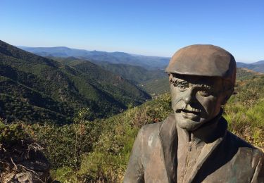 Tour Wandern Val-d'Aigoual - Col d’asclier rocher de l’aigle  - Photo