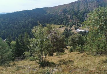 Trail Walking Le Valtin - lac Vert lac des truites. - Photo