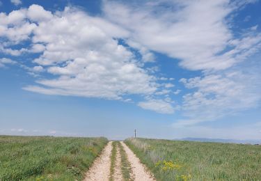 Randonnée Marche Gréoux-les-Bains - Marchand de nuages court - Photo