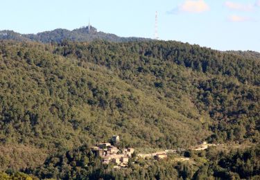 Percorso A piedi Gaiole in Chianti - IT-56 - Photo