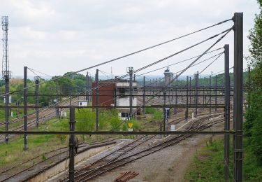 Tour Zu Fuß Bleiberg - Hindel - Photo