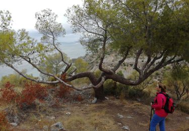 Randonnée Marche Almuñécar -  Cantarrijan     Cerro Caleta - Photo